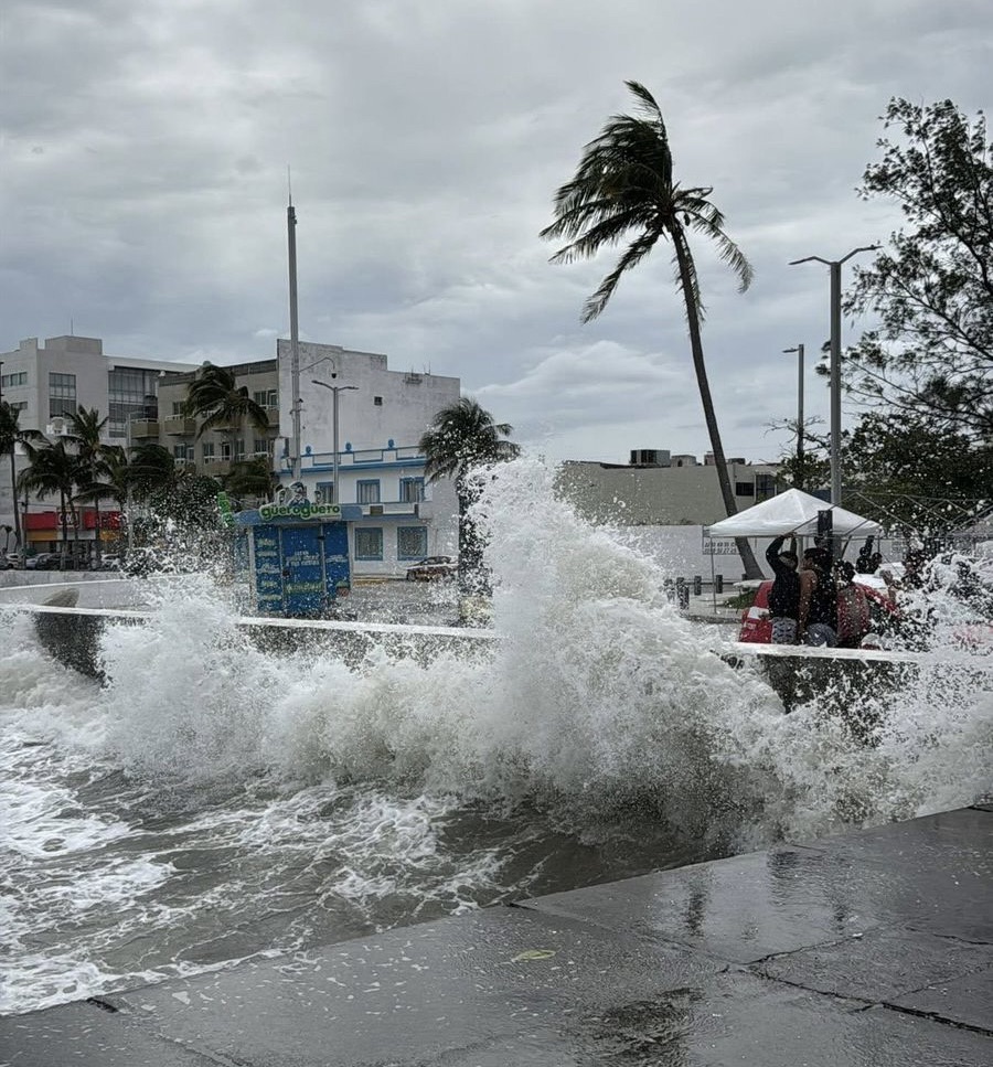 Fuertes vientos del Norte golpean costa de Veracruz con oleaje elevado y árboles inclinados